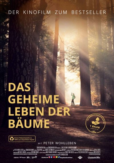 Das geheime Leben der Bäume